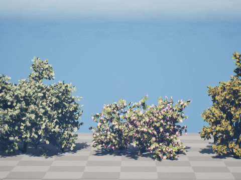 Colección árabe Ethel Tree Tamarix Bush Modelo 3D