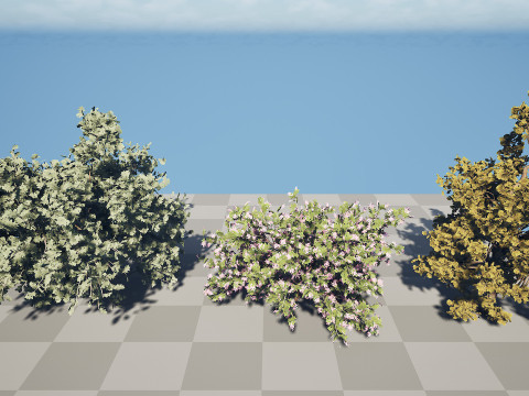 Colección árabe Ethel Tree Tamarix Bush Modelo 3D