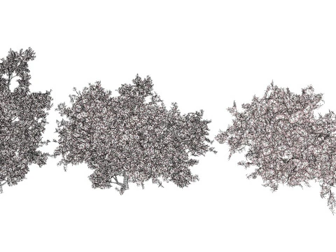 Arabian Ethel Tree Tamarix Bush Collection 3D Model
