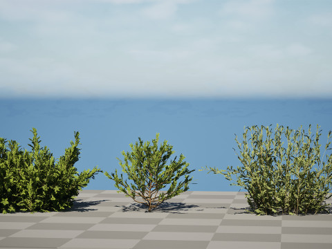 Arabian Qurm Bush Collection 3D Model