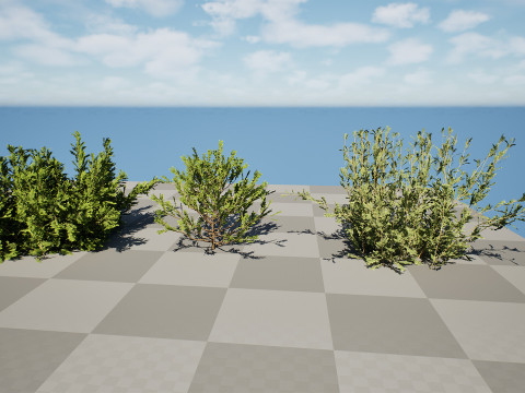 Arabian Qurm Bush Collection 3D Model