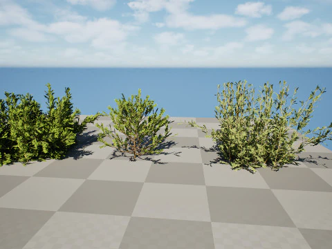Колекція Arabian Qurm Bush 3D Модель