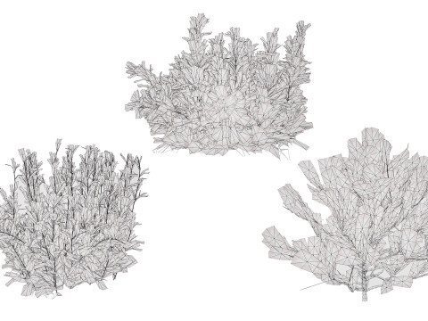 Arabian Qurm Bush Collection 3D Model