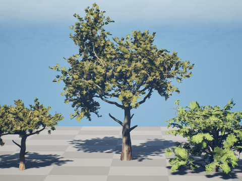 Paquete de &aacute;rbol de carb&oacute;n &aacute;rabe Modelo 3D