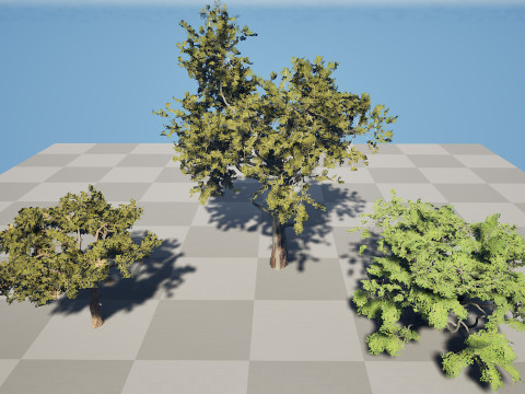 Paquete de &aacute;rbol de carb&oacute;n &aacute;rabe Modelo 3D