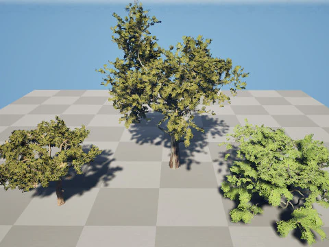 Arabian Charcoal Tree Pack 3D Model