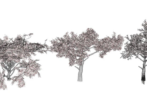 Arabian Charcoal Tree Pack 3D Model