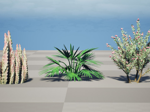 Pacchetto flora selvaggia del deserto arabo Modello 3D