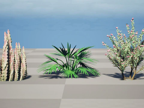 Wild Arabian Desert Flora Pack 3D Model