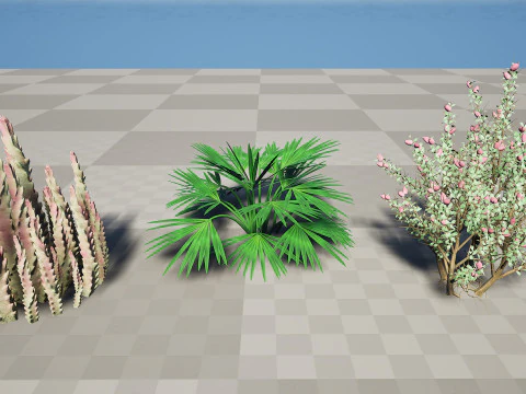 Wild Arabian Desert Flora Pack 3D Model