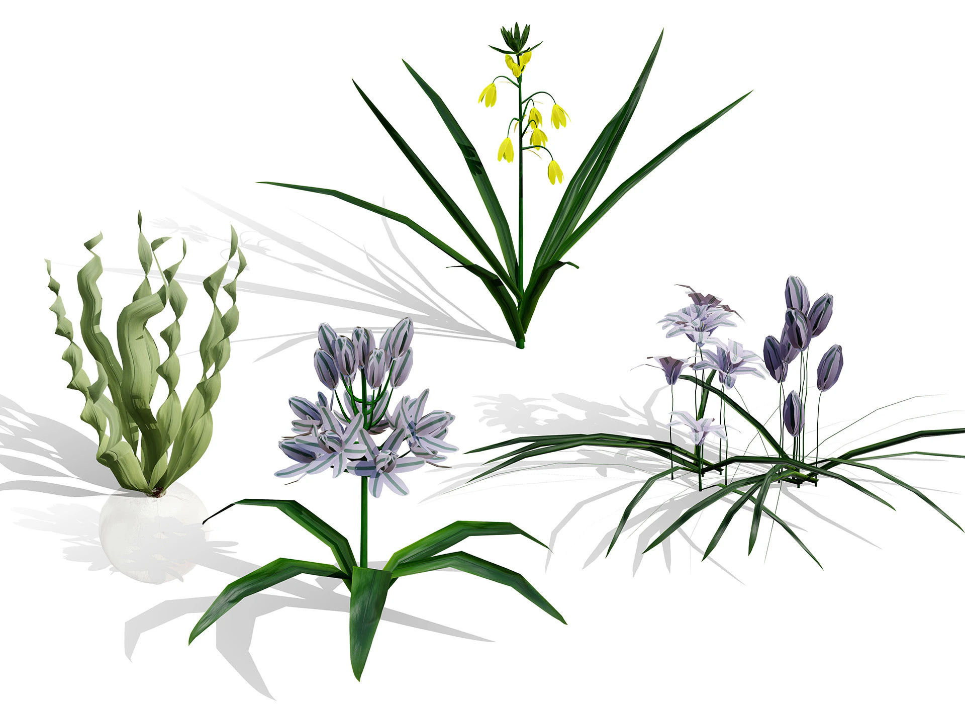 Wild Arabian Desert Flora Pack 3D Model .c4d .max .obj .3ds .fbx .stl .blend 