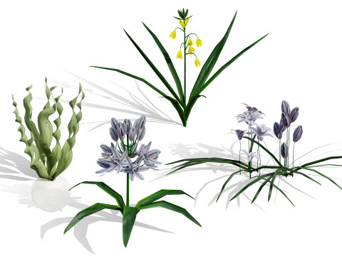 野生阿拉伯沙漠植物包 3D 模型