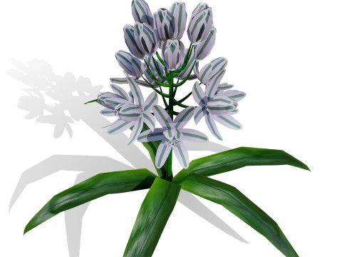 Wild Arabian Desert Flora Pack 3D Model