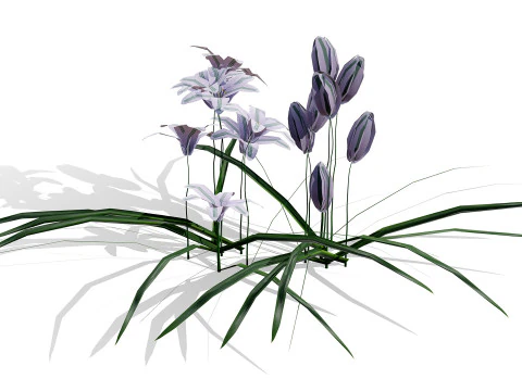 Wild Arabian Desert Flora Pack 3D Model