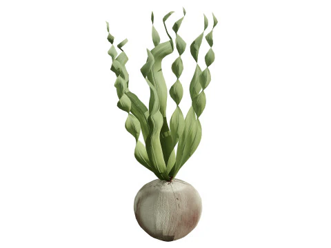 Wild Arabian Desert Flora Pack 3D Model