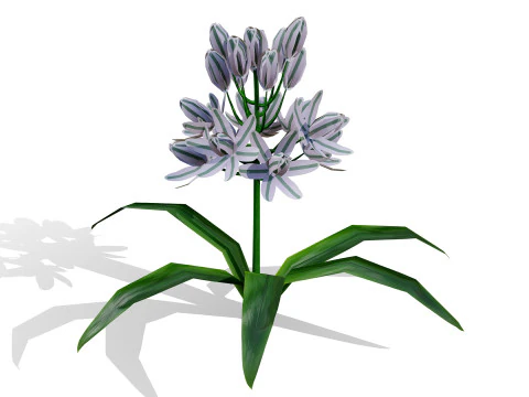 Wild Arabian Desert Flora Pack 3D Model