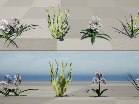 Wild Arabian Desert Flora Pack 3D Model