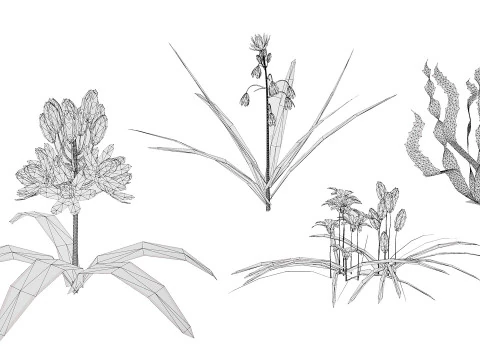 Wild Arabian Desert Flora Pack 3D Model