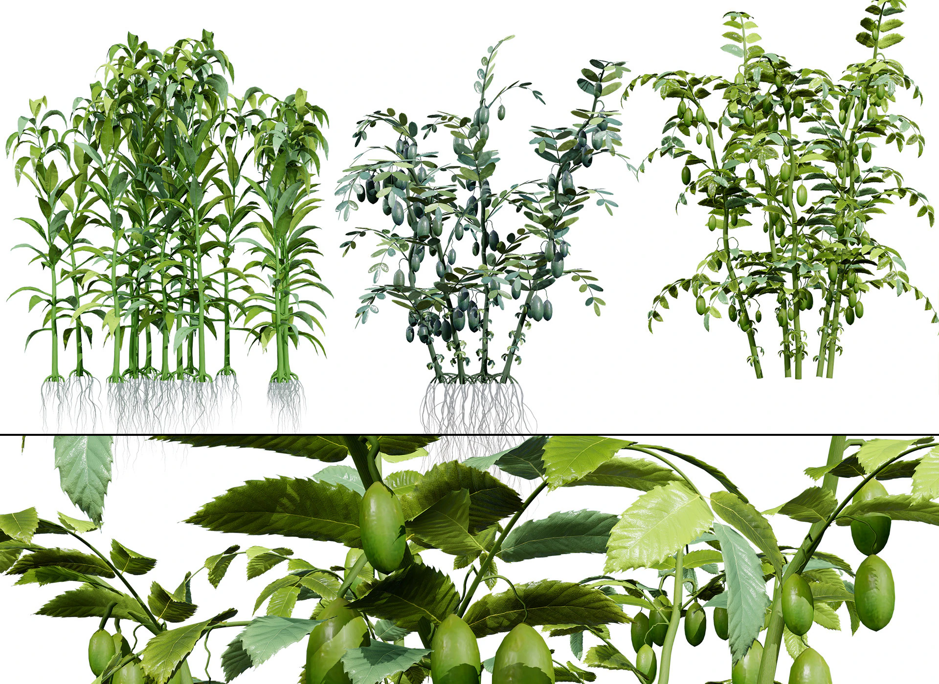 Collezione di colture agricole arabe Modello 3D .c4d .max .obj .3ds .fbx .stl .blend