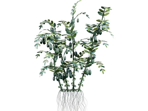 Collezione di colture agricole arabe Modello 3D