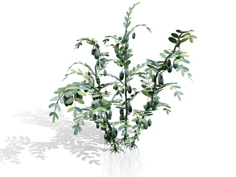 Collezione di colture agricole arabe Modello 3D