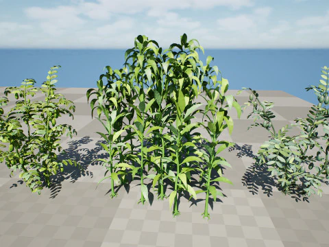 Collezione di colture agricole arabe Modello 3D