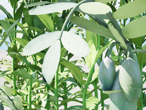 Cole&ccedil;&atilde;o de Culturas Agr&iacute;colas &Aacute;rabes Modelo 3D