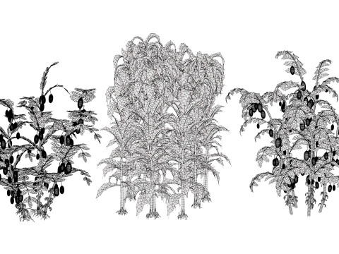 Cole&ccedil;&atilde;o de Culturas Agr&iacute;colas &Aacute;rabes Modelo 3D