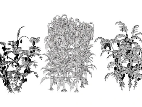 Collezione di colture agricole arabe Modello 3D