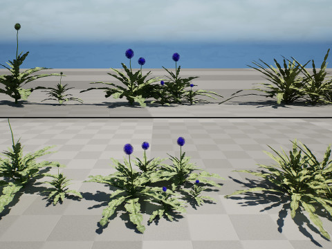 阿拉伯蓝刺头 mandavillei 集合 3D 模型