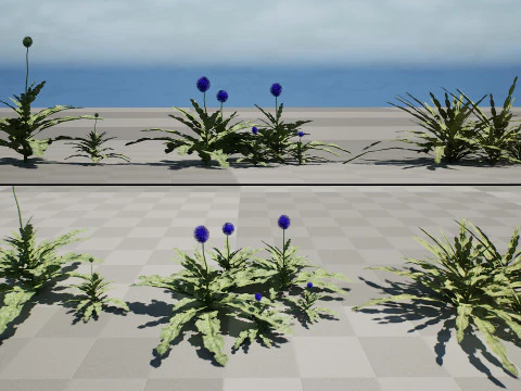 Arabian Echinops mandavillei collection 3D Model