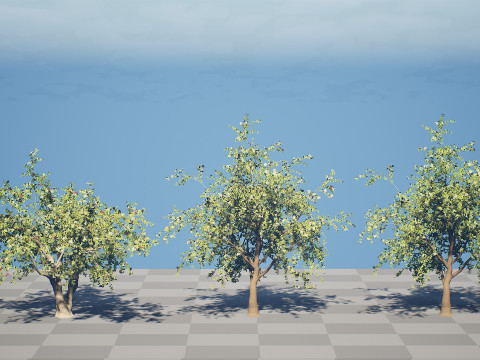 Albero di Sidr arabo con frutti Nabaq Modello 3D