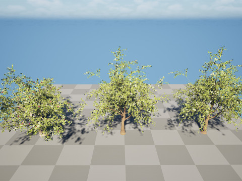 Albero di Sidr arabo con frutti Nabaq Modello 3D