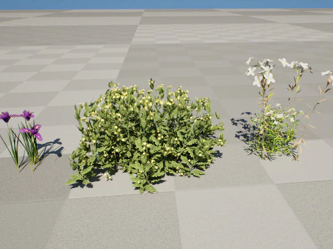 Game Ready Heliotropium Arbainense Desert Flower Set 3D Model