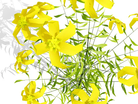 Native Arabian Flora Collection 3D Model