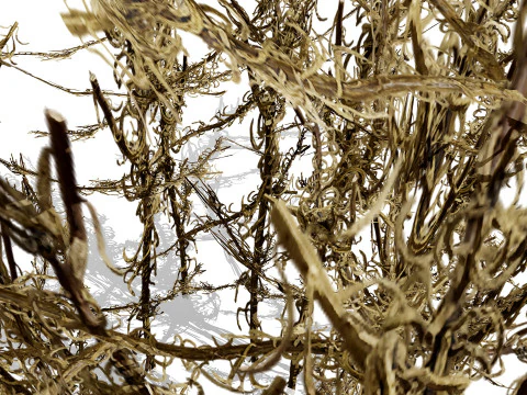 Arabian Cornulaca Collection 3D Model