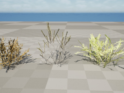 Arabian Cornulaca Collection 3D Model