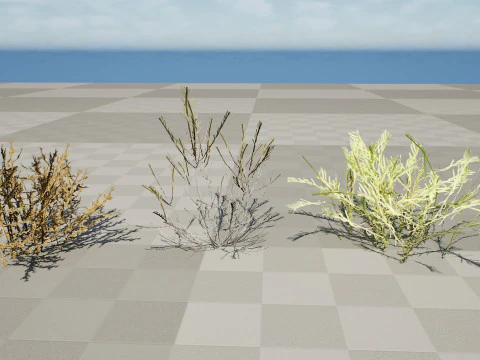 Arabian Cornulaca Collection 3D Model