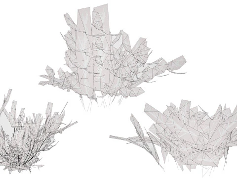 Arabian Cornulaca Collection 3D Model