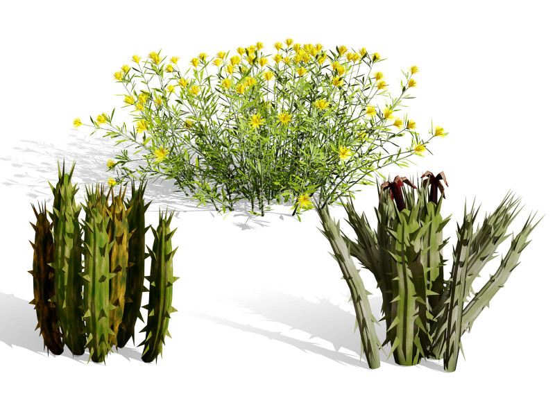 Plantas do Deserto &Aacute;rabe Modelo 3D .c4d .max .obj .3ds .fbx .stl .blend 