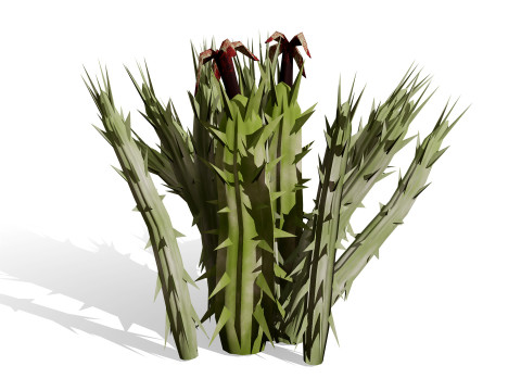 Plantas do Deserto &Aacute;rabe Modelo 3D
