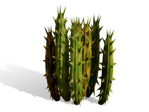 Plantas do Deserto &Aacute;rabe Modelo 3D