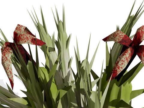 Plantas do Deserto &Aacute;rabe Modelo 3D