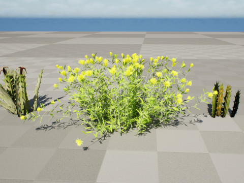 Plantas do Deserto &Aacute;rabe Modelo 3D