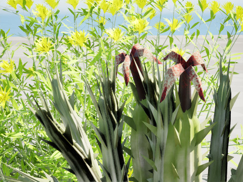 Plantas do Deserto &Aacute;rabe Modelo 3D