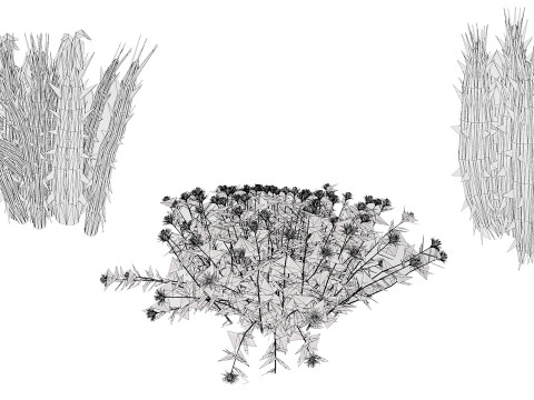 Plantas do Deserto &Aacute;rabe Modelo 3D