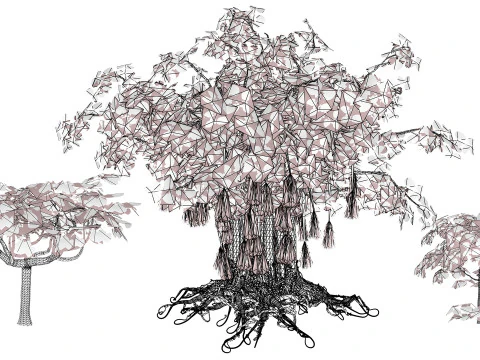 Collezione di fichi arabi di Socotran Modello 3D