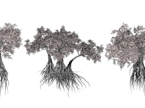 Ancient Arabian Olive Tree Collection 3D Model