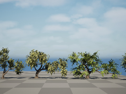 Kolekcja drzew Ghaf Model 3D