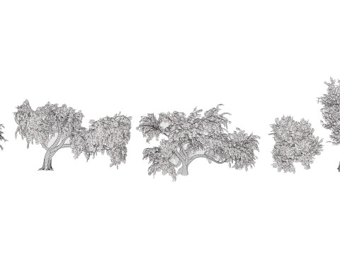 Kolekcja drzew Ghaf Model 3D